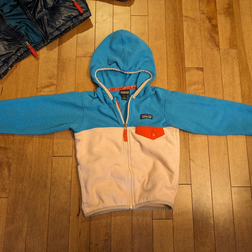 Patagonia Toddler Fleece Zip Hoodie